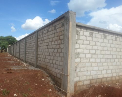 12370828_543552822475253_4708827157157973729_o